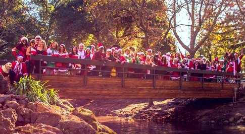 Yountville, California SantaCon main image